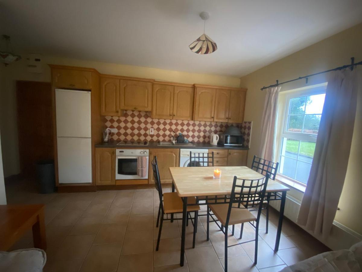 Dromkeal View Apartment Корк Екстер'єр фото