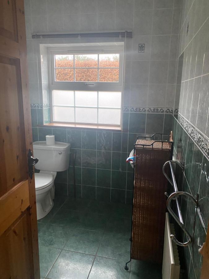 Dromkeal View Apartment Корк Екстер'єр фото